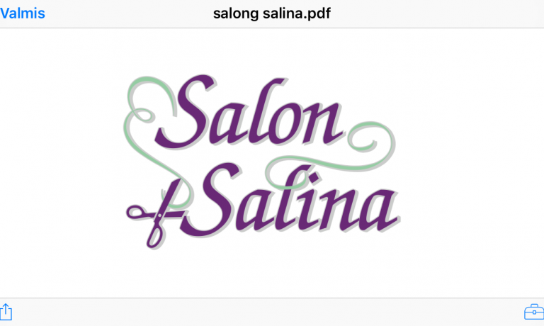 logo-salon-salina